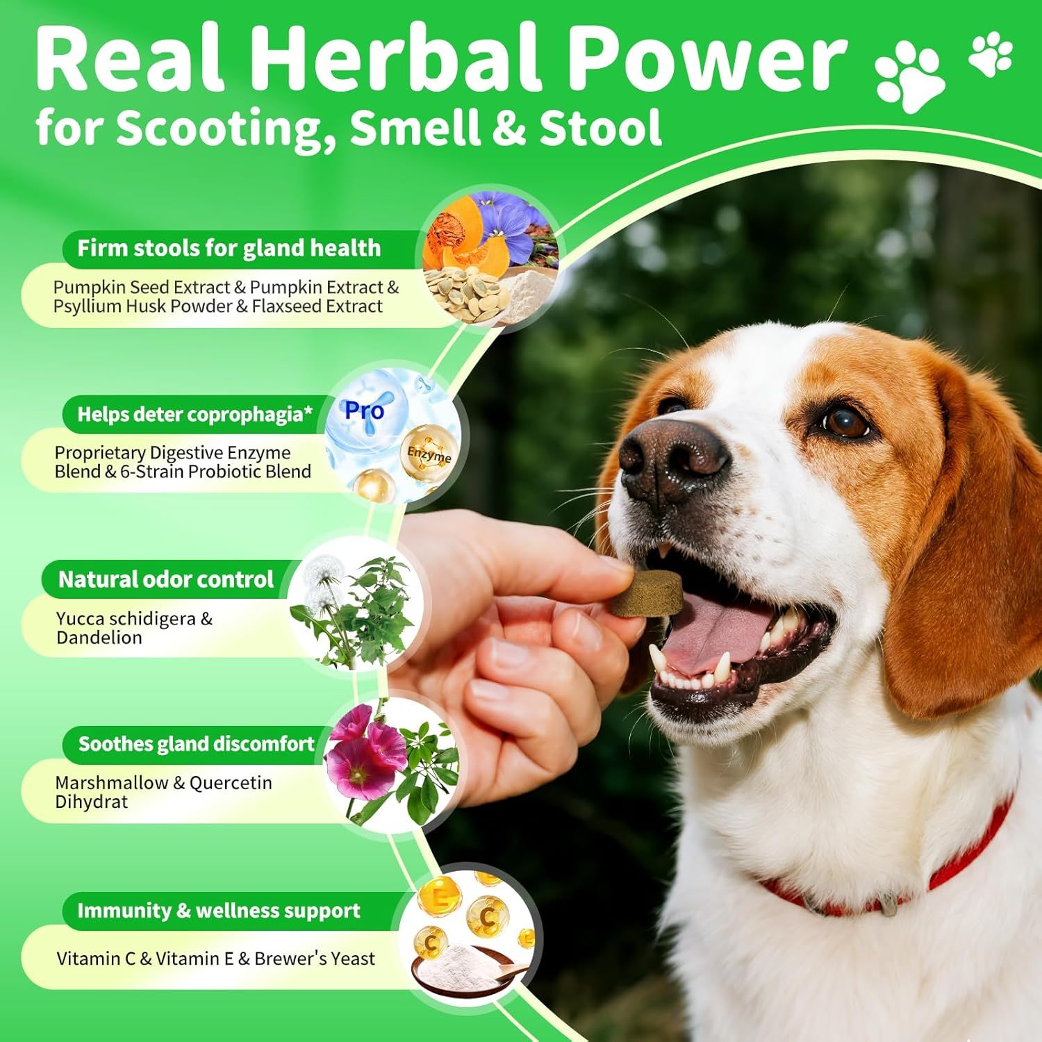 Dog Probiotics Digestive Enzymes,Pumpkin Fiber Chews For Gut Health, Constipation Upset Stomach Relief, Gas & Stool Support, Chicken Flavor Soft Chews ,90 Count - Image 8