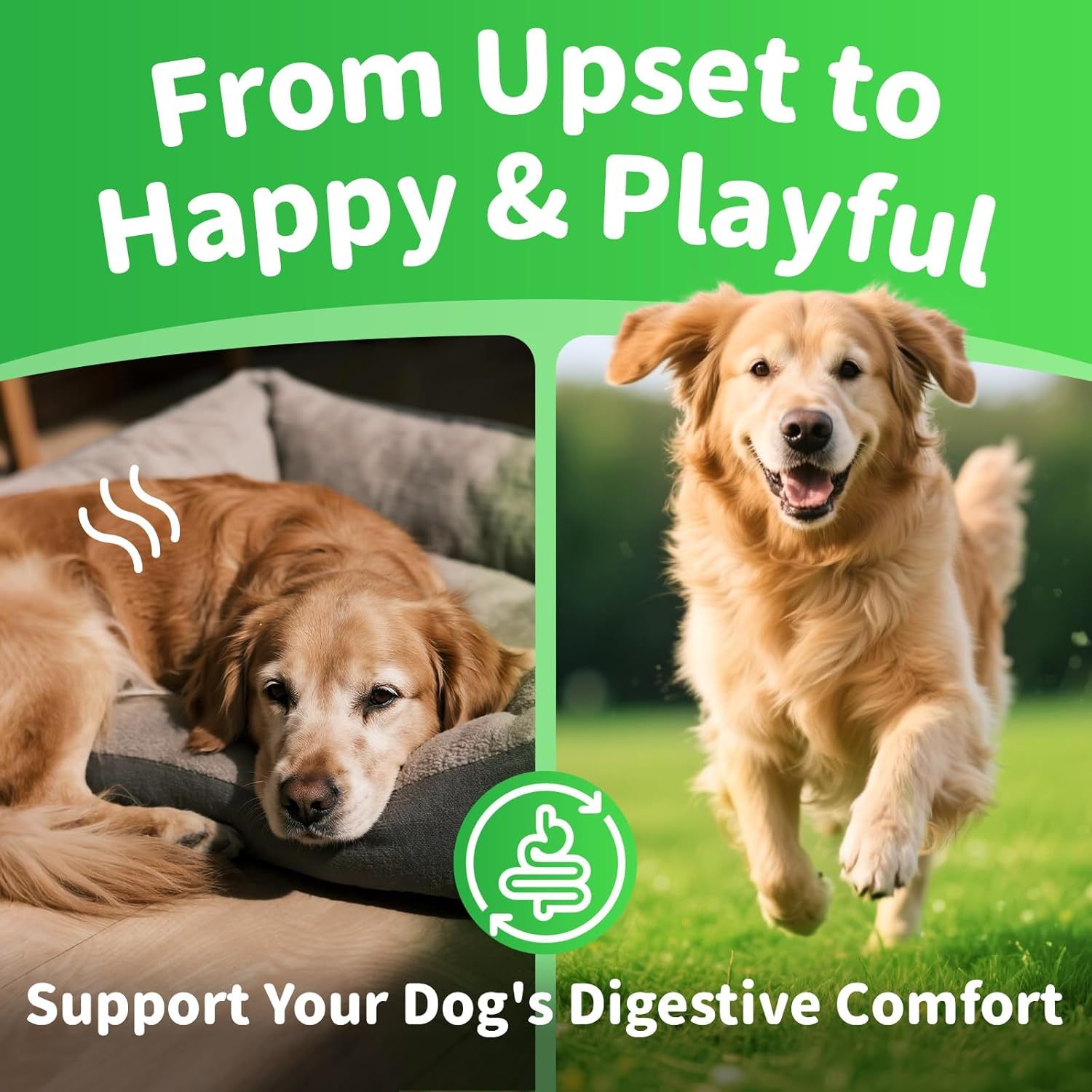 Dog Probiotics Digestive Enzymes,Pumpkin Fiber Chews For Gut Health, Constipation Upset Stomach Relief, Gas & Stool Support, Chicken Flavor Soft Chews ,90 Count - Image 7