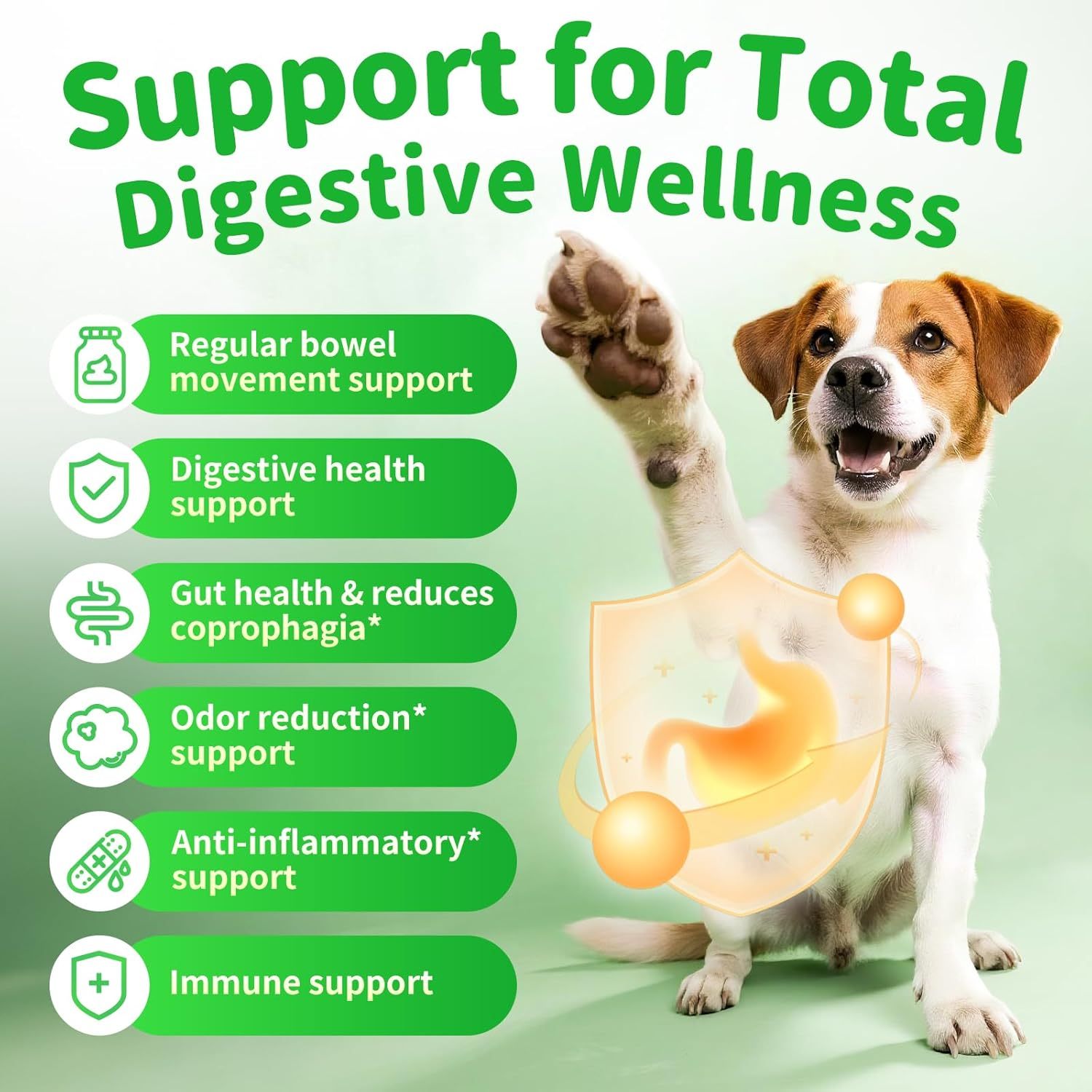 Dog Probiotics Digestive Enzymes,Pumpkin Fiber Chews For Gut Health, Constipation Upset Stomach Relief, Gas & Stool Support, Chicken Flavor Soft Chews ,90 Count - Image 4